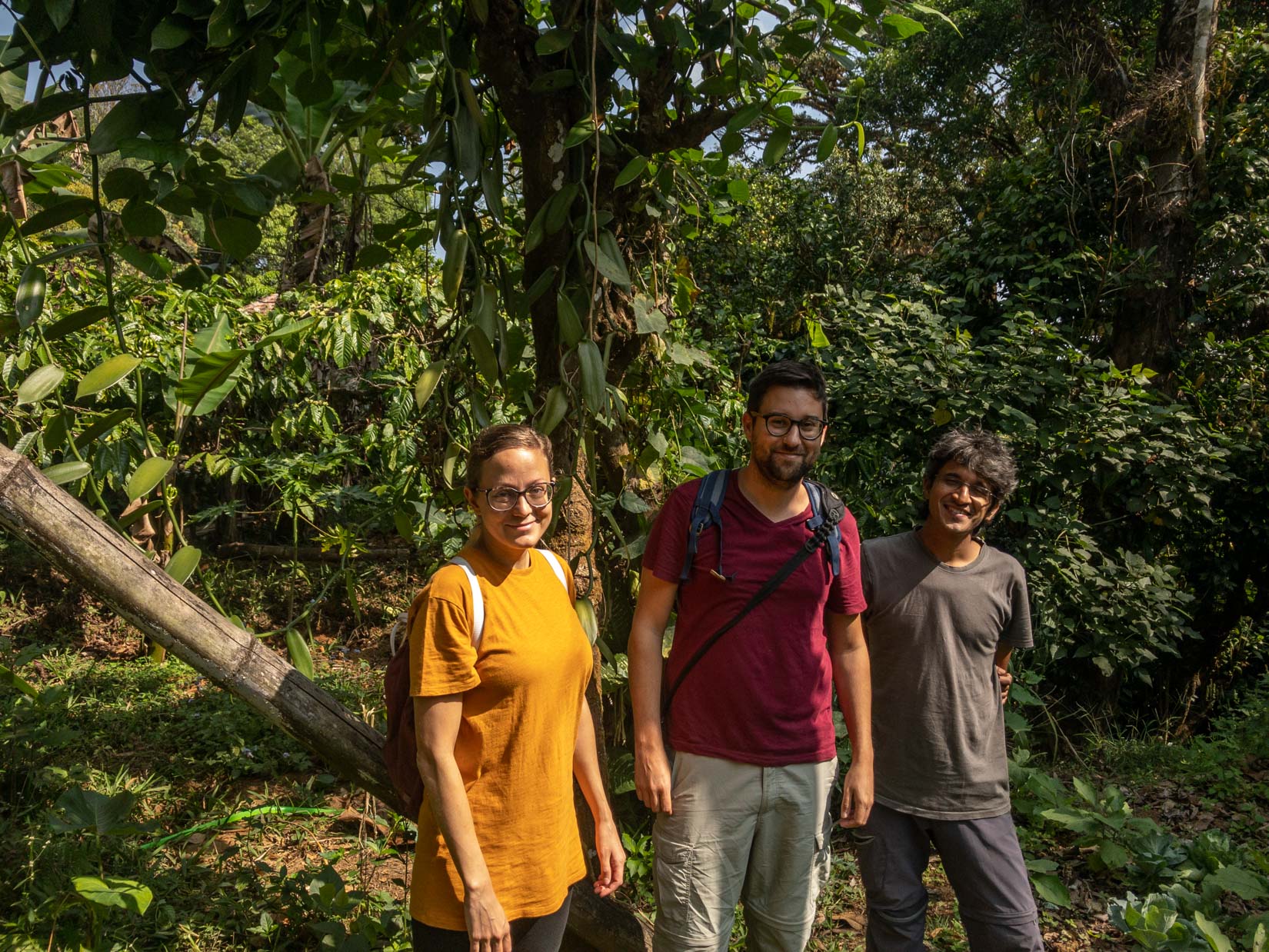A spice, tea and coffee garden, a veritable paradise of biodiversity in the Western Ghats of Karnataka A spice, tea and coffee garden, a veritable paradise of biodiversity in the Western Ghats of Karnataka